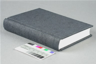 Bradel Case